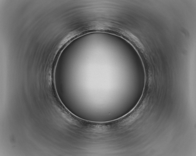 X0000112871226200908281618