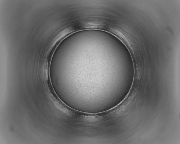 X0000112871227200908281618