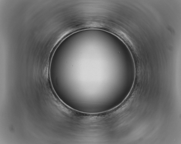 X0000112871228200908281618