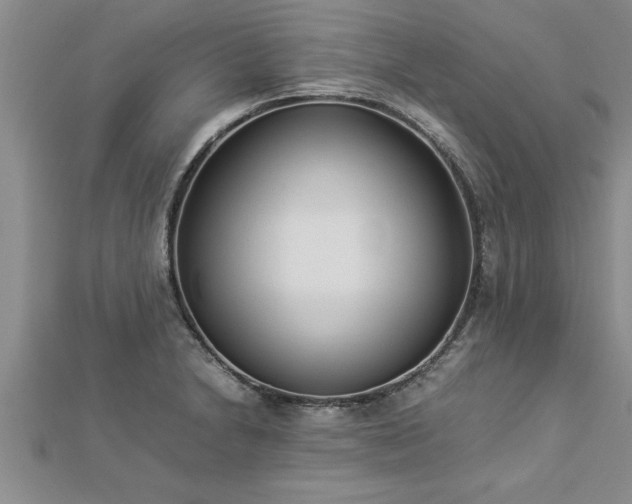 X0000112871230200908281618