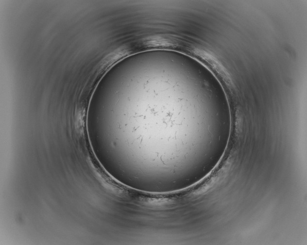 X0000112871233200908281618