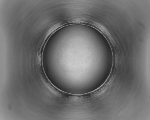 X0000112871234200908281618