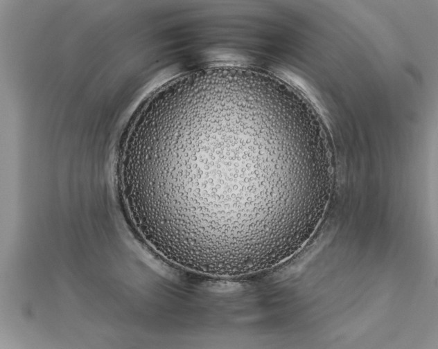 X0000112871235200908281618