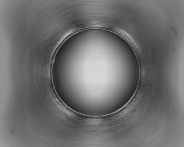 X0000112871236200908281618