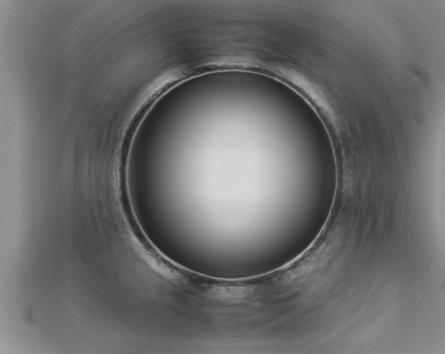 X0000112871237200908281618