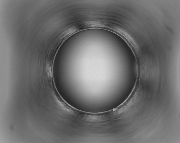 X0000112871241200908281618