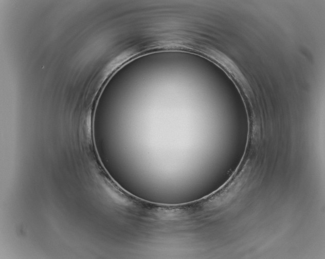 X0000112871242200908281618