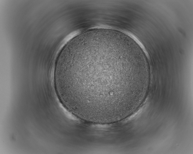 X0000112871245200908281618