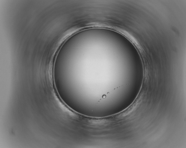 X0000112871247200908281618