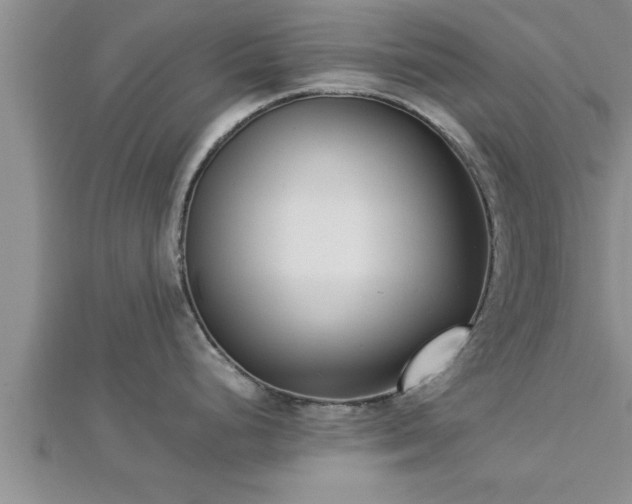 X0000112871248200908281618