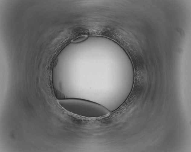 X0000112871249200908281617