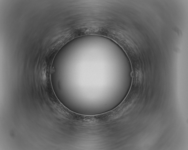 X0000112871250200908281617