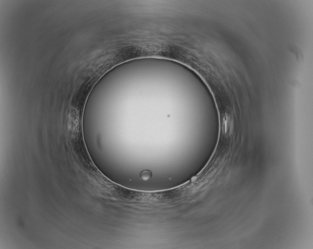 X0000112871251200908281617