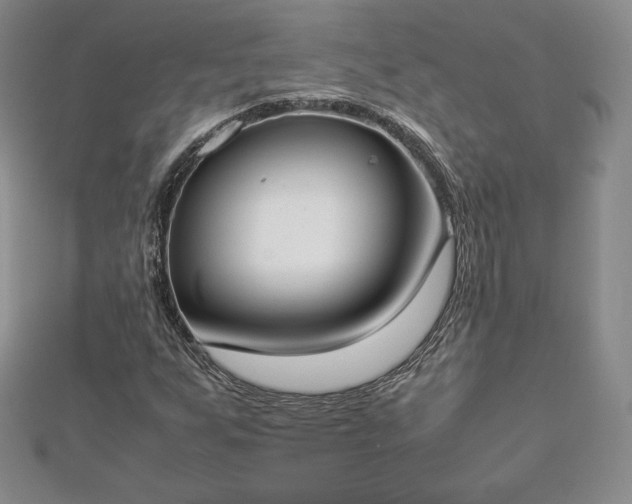 X0000112871255200908281617