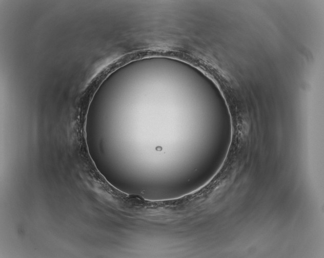 X0000112871256200908281617