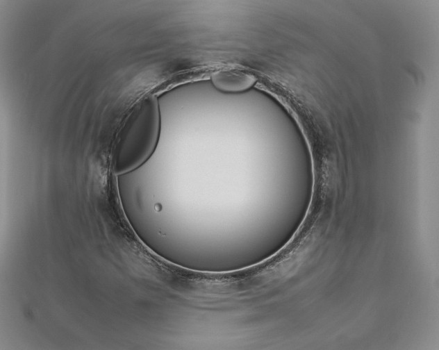 X0000112871257200908281617