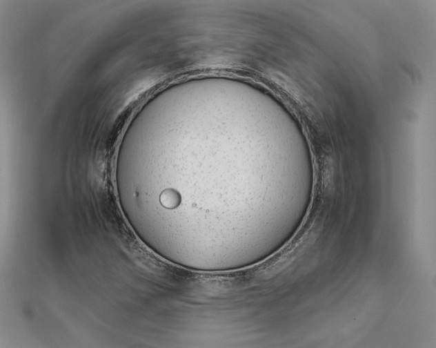 X0000112871258200908281617