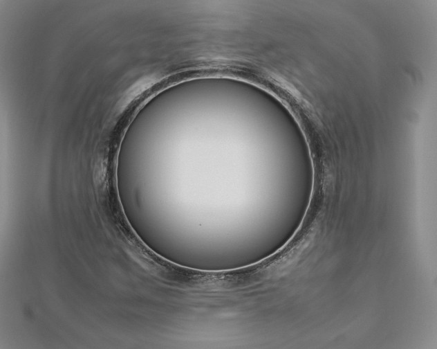 X0000112871259200908281617