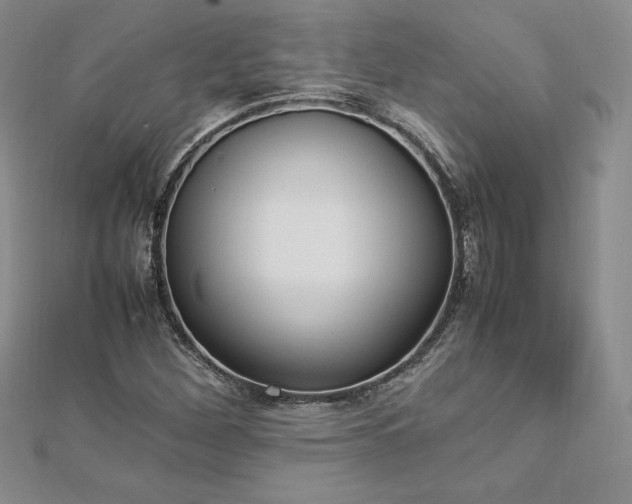 X0000112871260200908281617