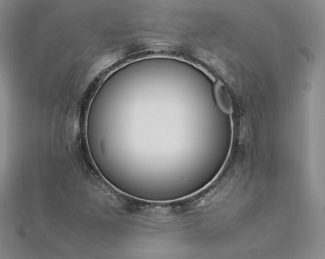 X0000112871261200908281617