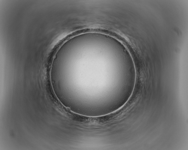 X0000112871263200908281617