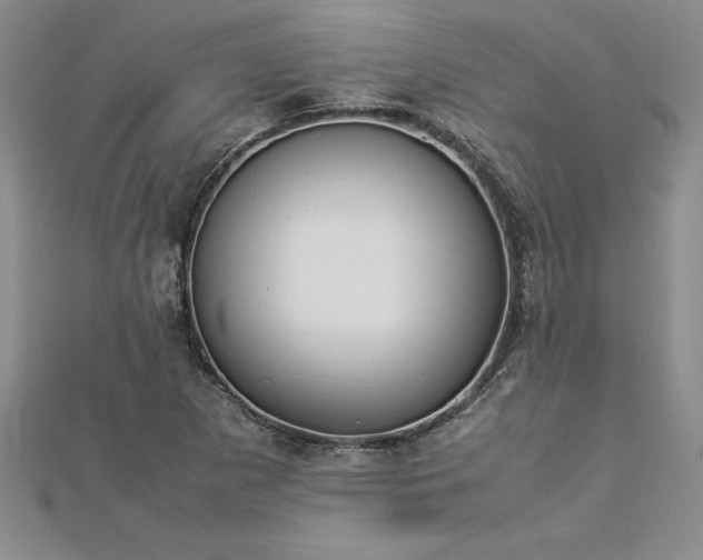 X0000112871265200908281617