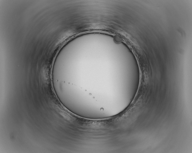 X0000112871266200908281617