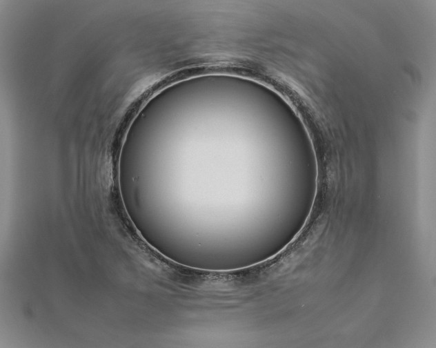 X0000112871267200908281617