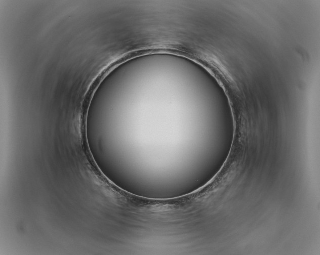 X0000112871268200908281617