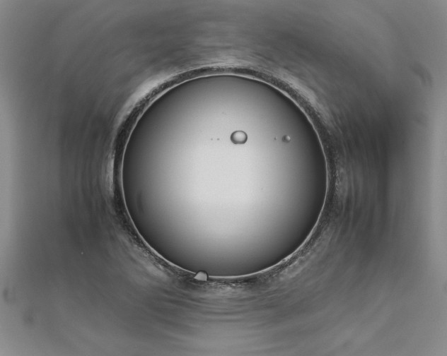 X0000112871270200908281617