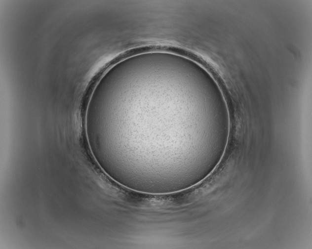 X0000112871271200908281617