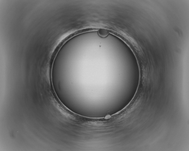 X0000112871272200908281617