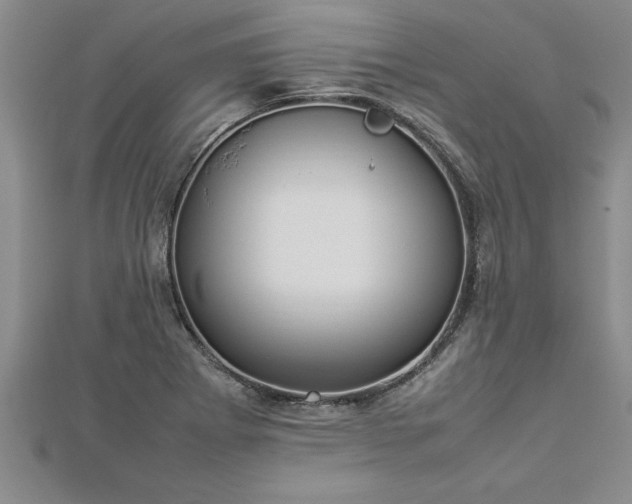 X0000112871273200908281617