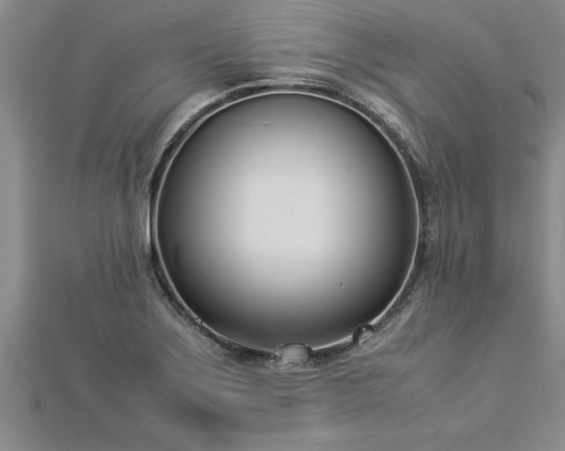 X0000112871275200908281617