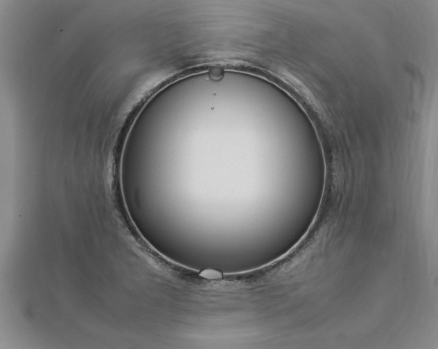 X0000112871277200908281617