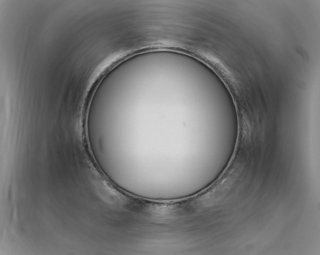 X0000112871278200908281617