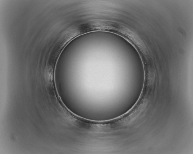 X0000112871281200908281617