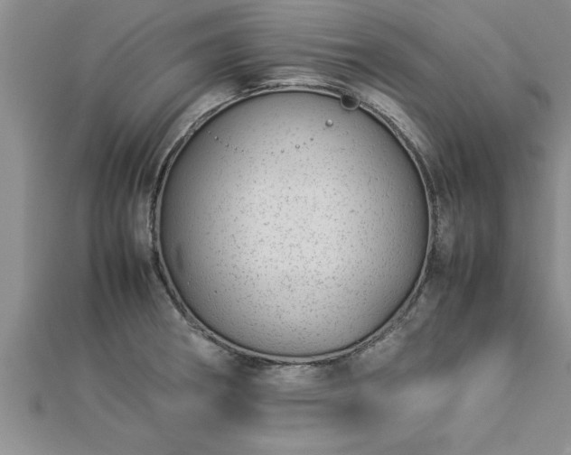 X0000112871282200908281617