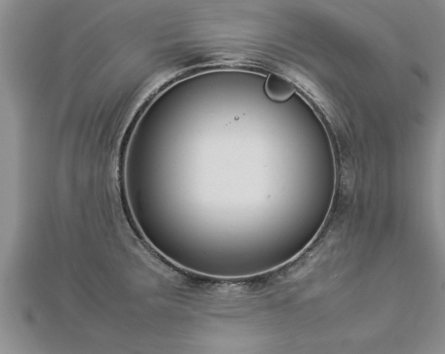 X0000112871283200908281617