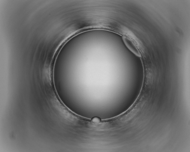 X0000112871284200908281617