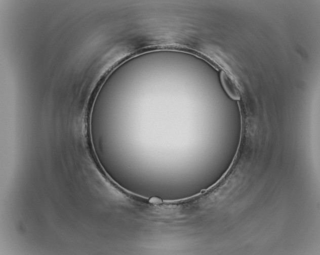 X0000112871285200908281617