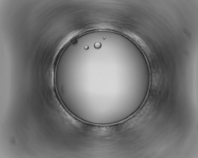 X0000112871286200908281617