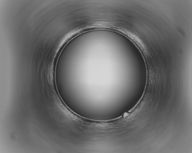 X0000112871288200908281617