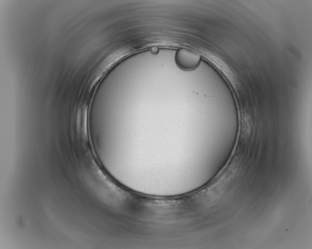 X0000112871290200908281617