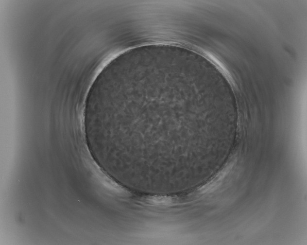 X0000112871291200908281617