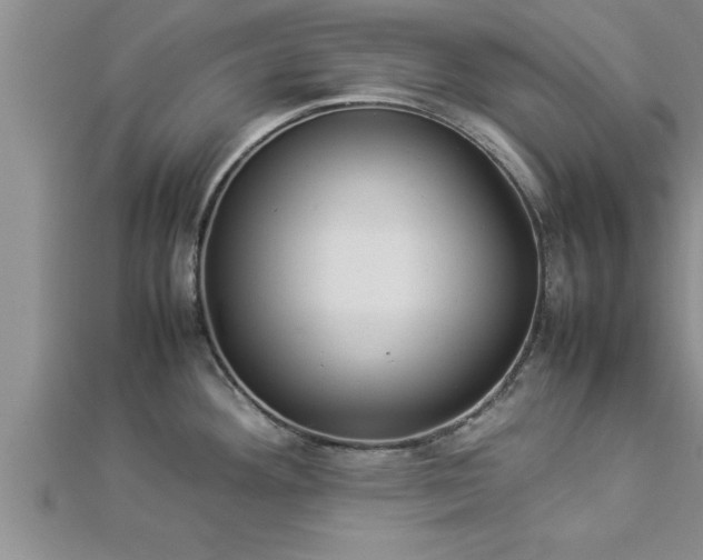 X0000112871292200908281617