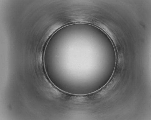 X0000112871293200908281617