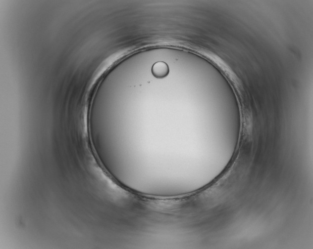 X0000112871294200908281617