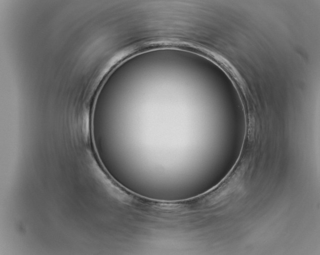 X0000112871295200908281617