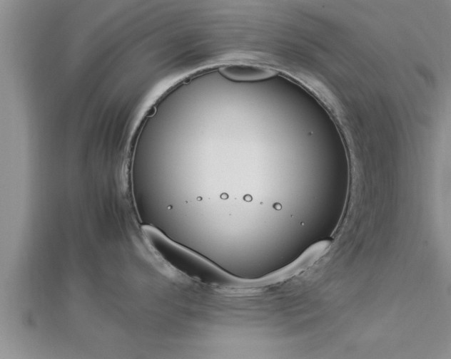 X0000112871296200908281617